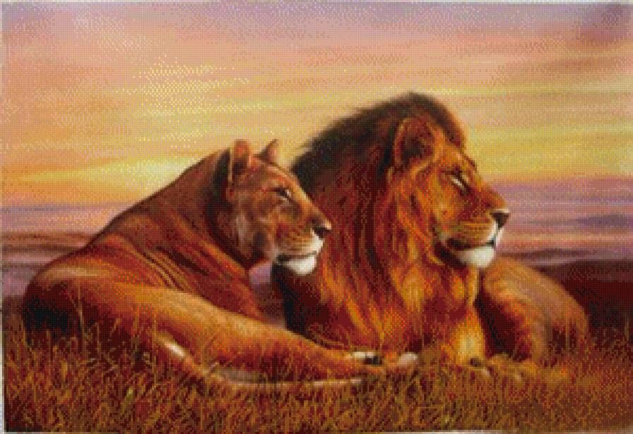 Лев и Львица