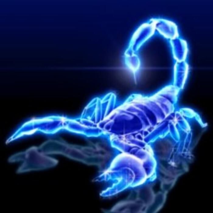 Скорпионы сильны и энергичны