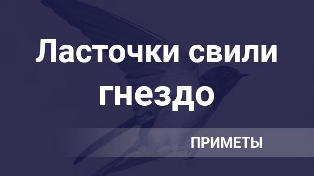 Ласточки свили гнездо ― примета: на балконе, в доме, под крышей